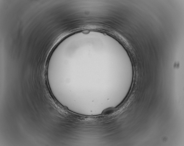 X0000096631178200803041058