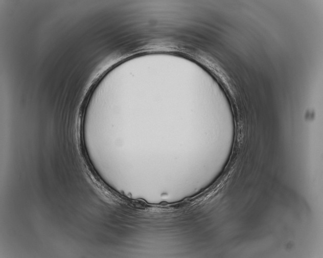 X0000096631179200803041058