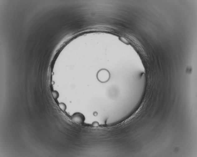 X0000096631180200803041058