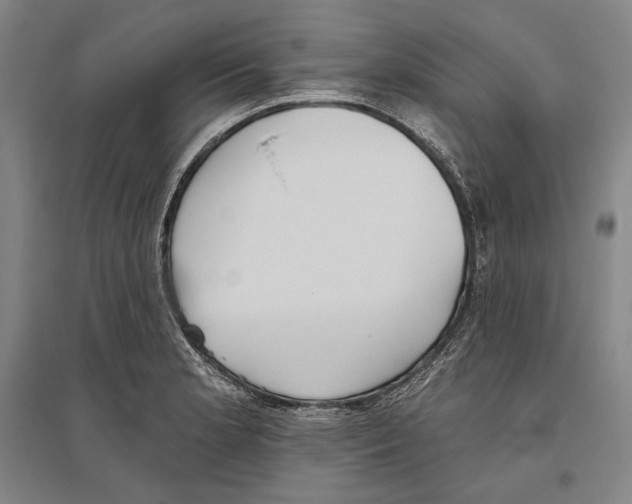 X0000096631181200803041058