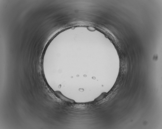 X0000096631182200803041058