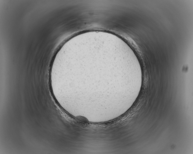X0000096631183200803041057