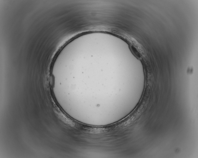 X0000096631184200803041057