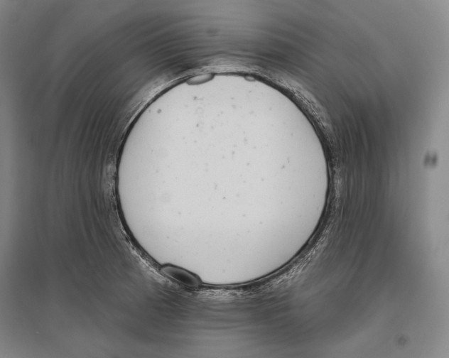 X0000096631185200803041057