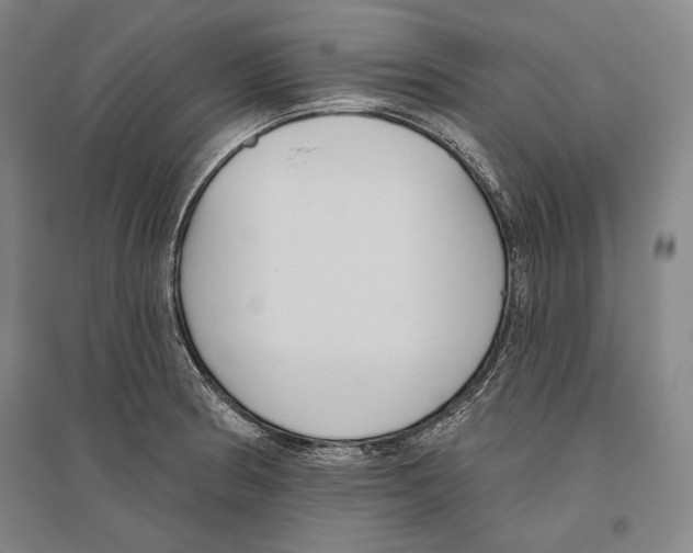 X0000096631186200803041057