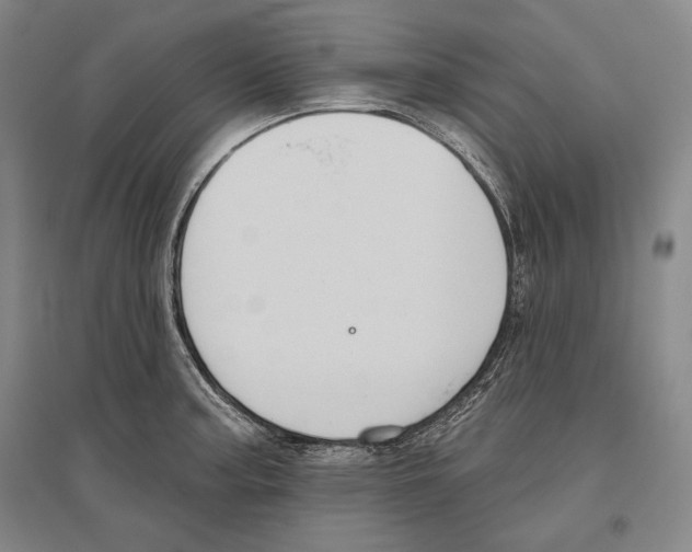 X0000096631187200803041057