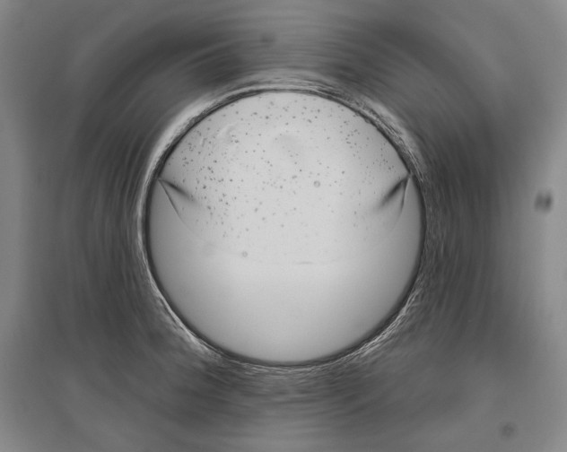 X0000096631188200803041057