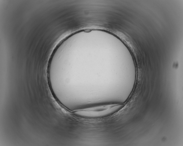 X0000096631189200803041057