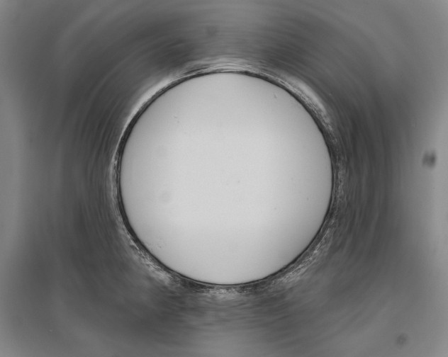 X0000096631190200803041057