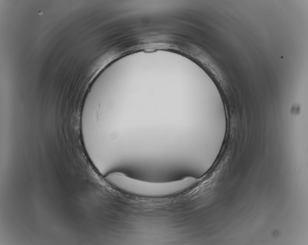 X0000096631193200803041057