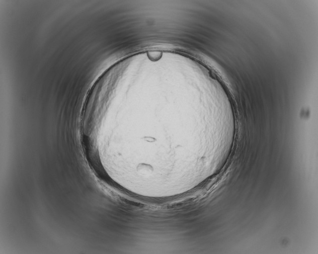 X0000096631194200803041057