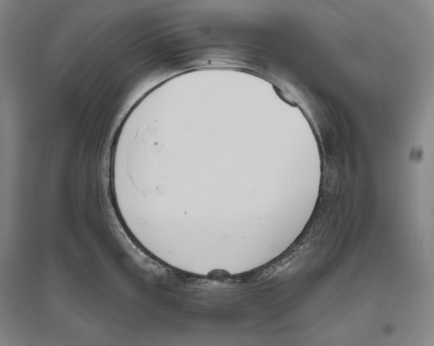 X0000096631195200803041057