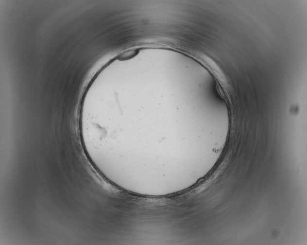 X0000096631196200803041057