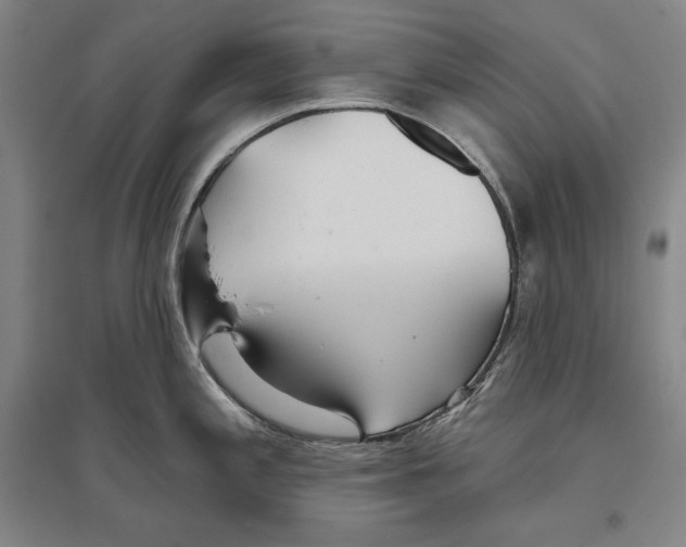 X0000096631197200803041057