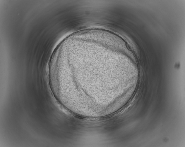 X0000096631198200803041057
