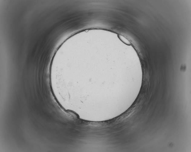 X0000096631199200803041057