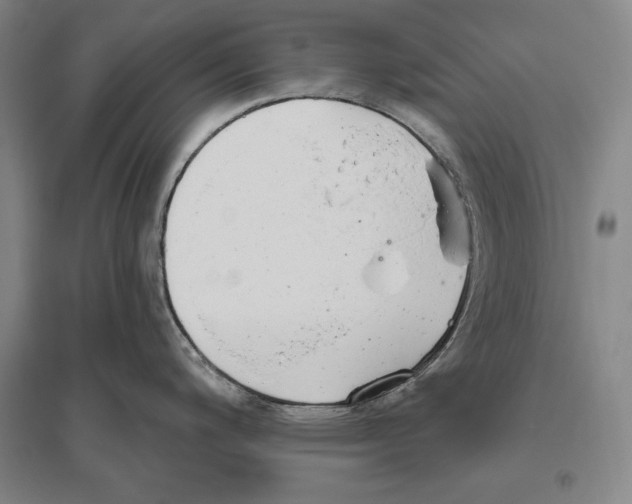 X0000096631200200803041057