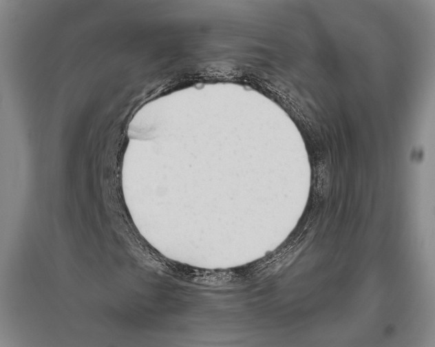 X0000096631201200803041057