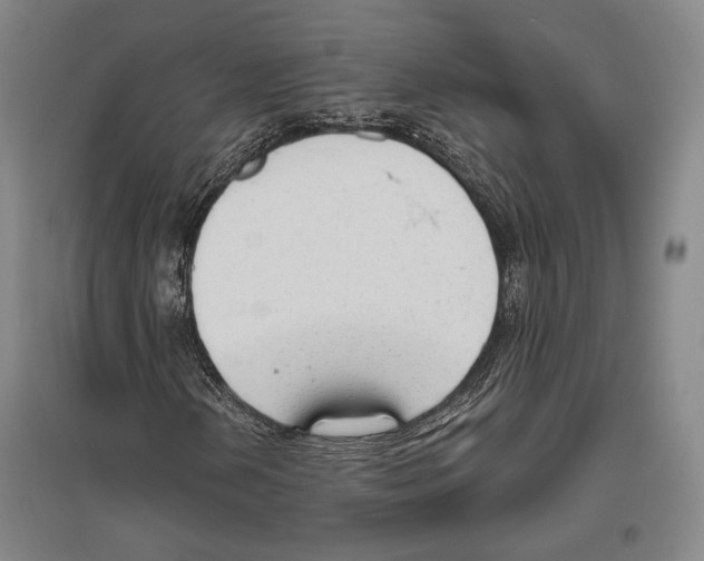 X0000096631202200803041057