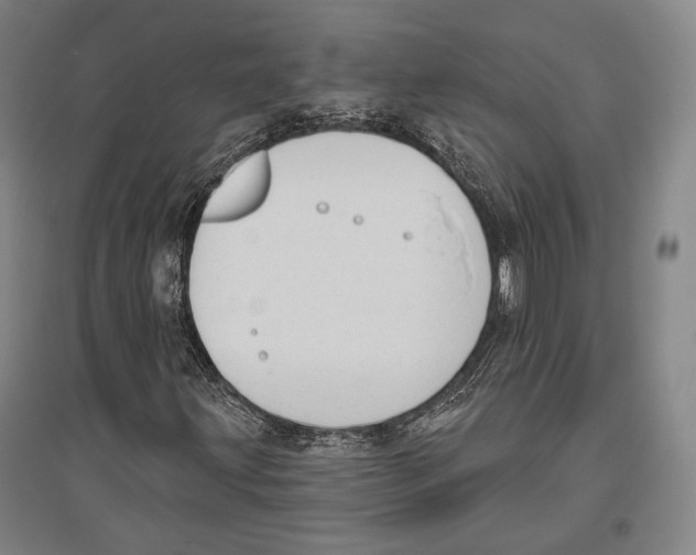 X0000096631203200803041057