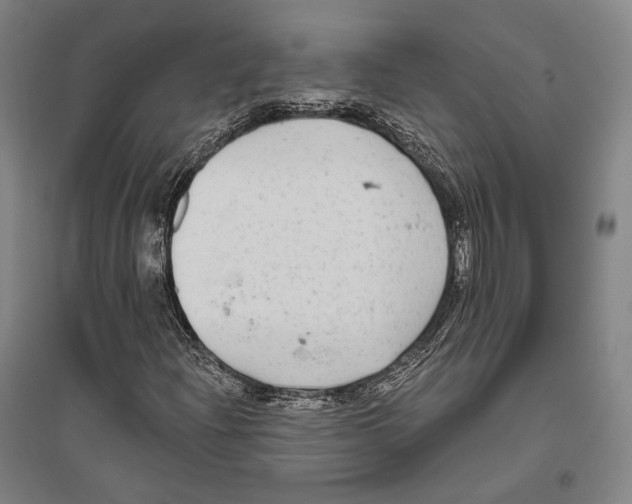 X0000096631204200803041057