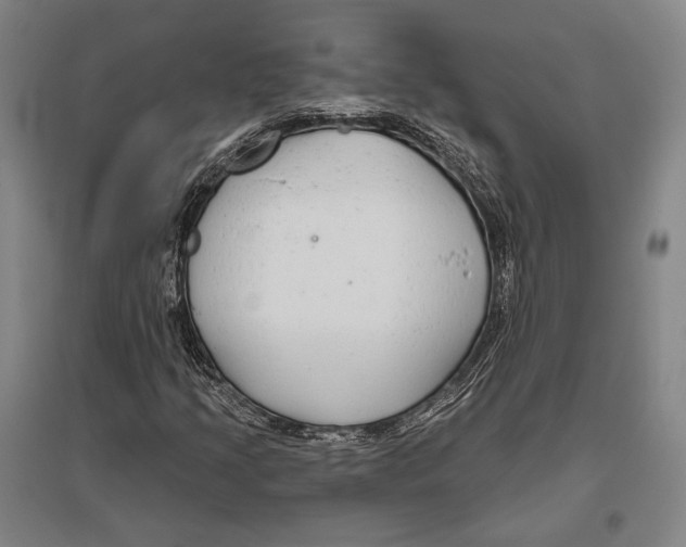 X0000096631205200803041057