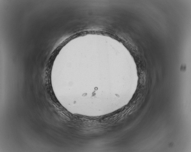 X0000096631208200803041057