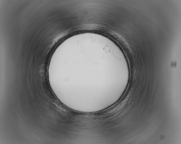 X0000096631210200803041057