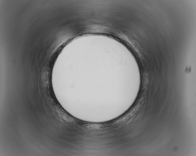 X0000096631211200803041057
