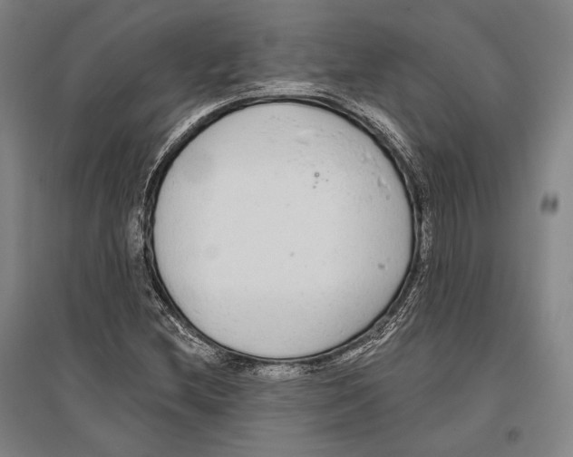 X0000096631212200803041057