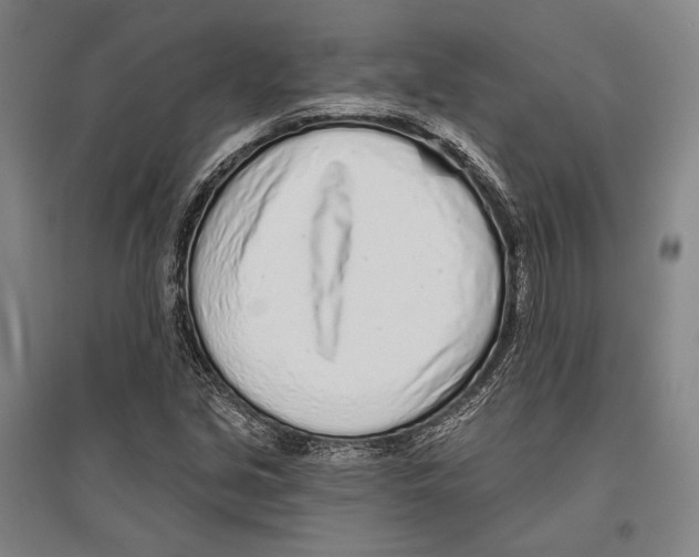 X0000096631213200803041057
