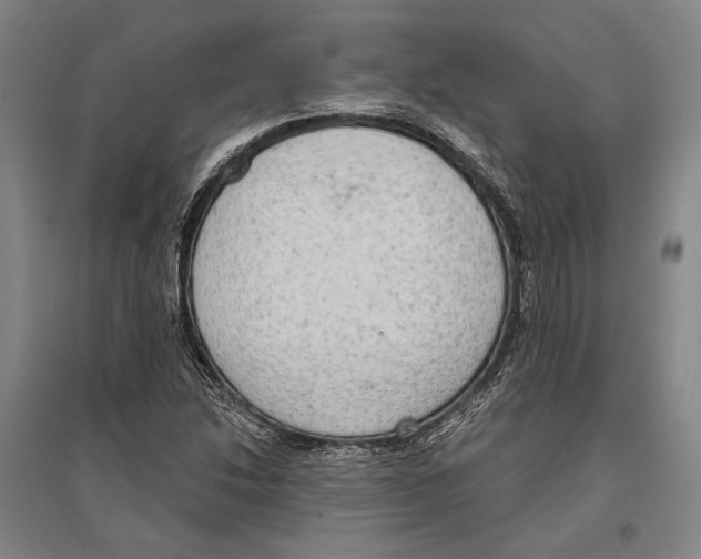 X0000096631214200803041057