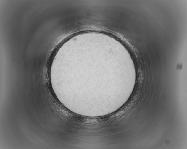 X0000096631215200803041057