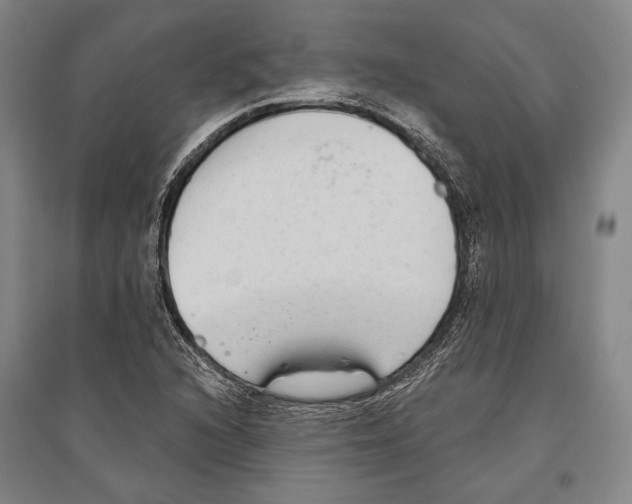 X0000096631216200803041057