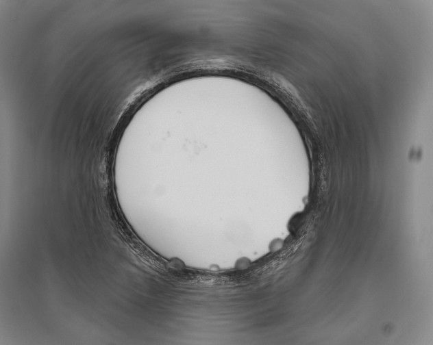 X0000096631218200803041057