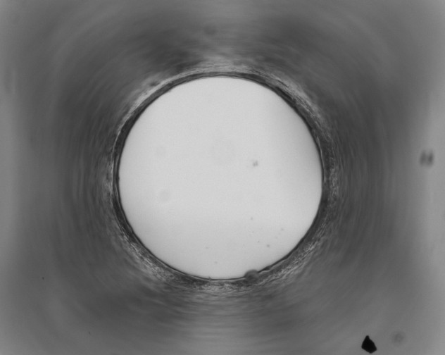 X0000096631220200803041057