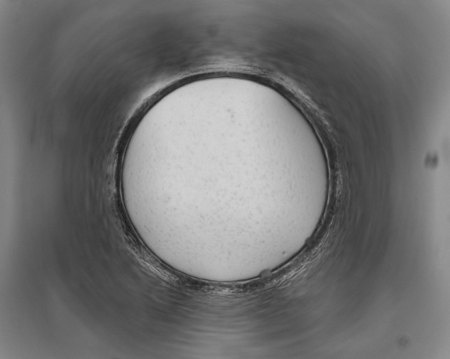 X0000096631222200803041057