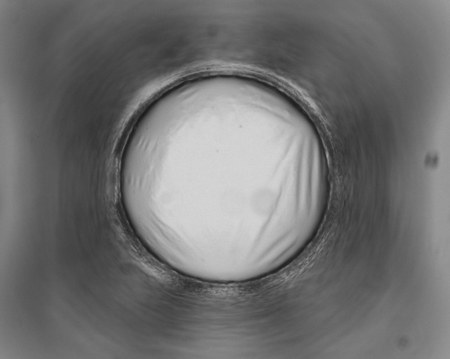X0000096631223200803041057