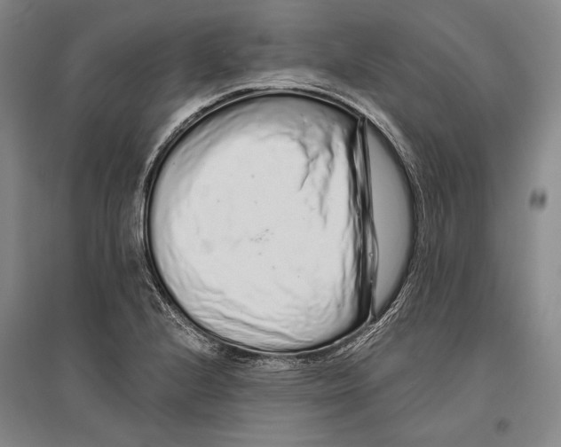 X0000096631224200803041057