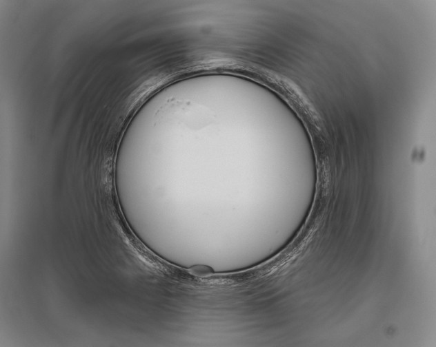 X0000096631225200803041057