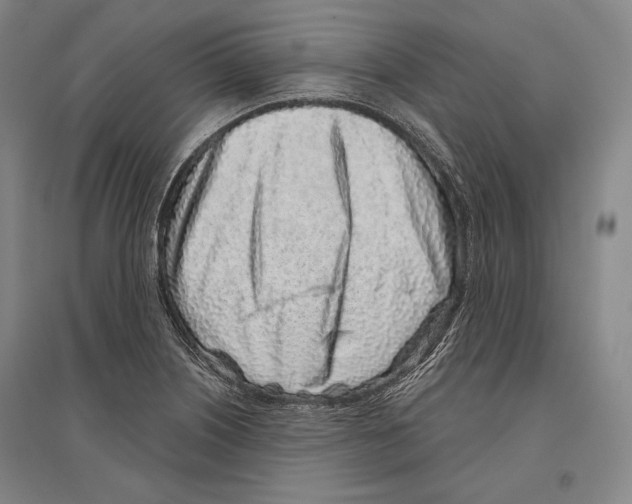 X0000096631226200803041057