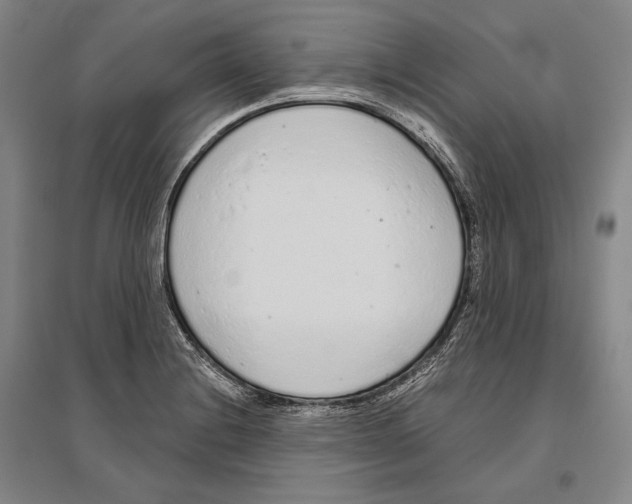 X0000096631228200803041057