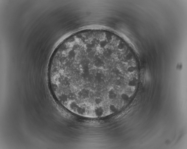 X0000096631229200803041057