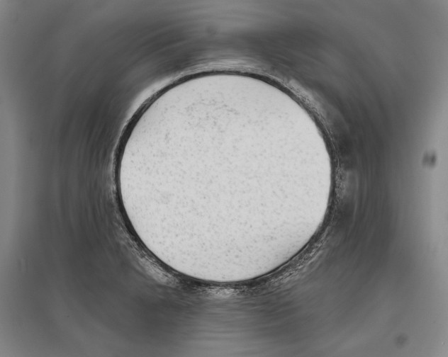 X0000096631230200803041057