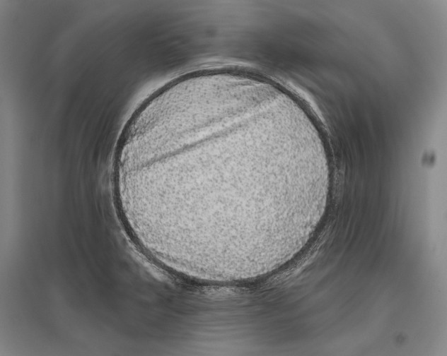 X0000096631231200803041057