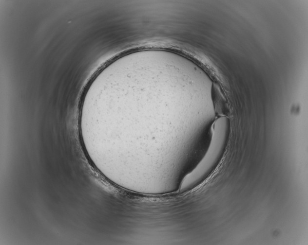 X0000096631232200803041057