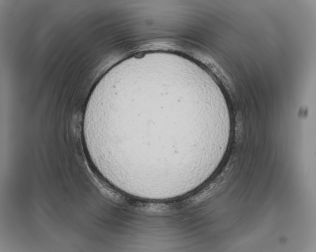 X0000096631233200803041057