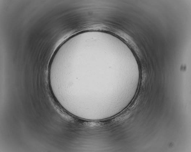 X0000096631234200803041057