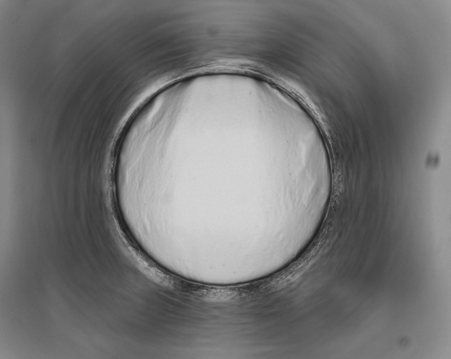 X0000096631235200803041057