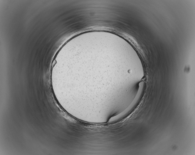 X0000096631236200803041057